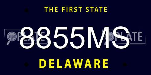 8855MS Delaware License Plate