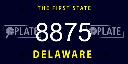 8875 Delaware License Plate