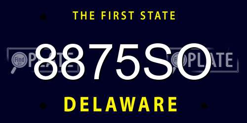 8875SO Delaware License Plate