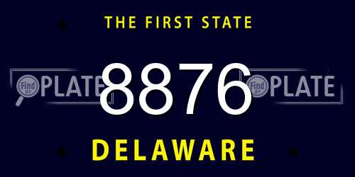 8876 Delaware License Plate