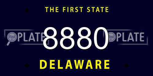 8880 Delaware License Plate