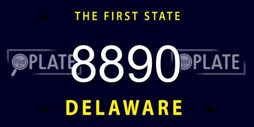 8890 Delaware License Plate