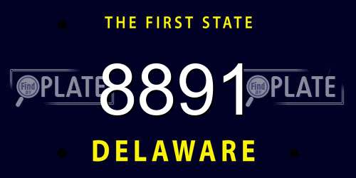 8891 Delaware License Plate