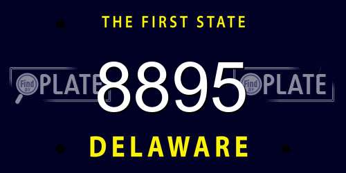 8895 Delaware License Plate