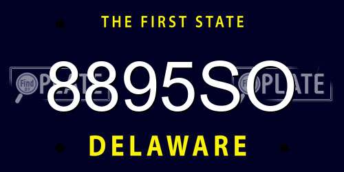 8895SO Delaware License Plate