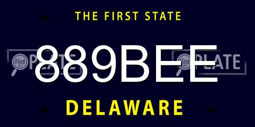 889BEE Delaware License Plate