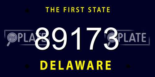 89173 Delaware License Plate