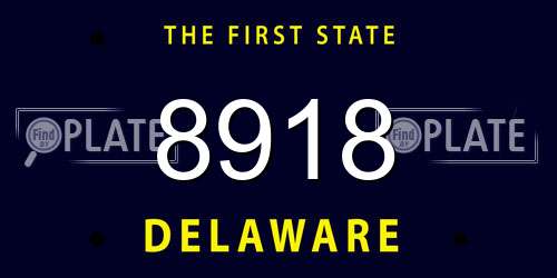 8918 Delaware License Plate