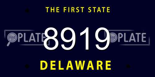 8919 Delaware License Plate