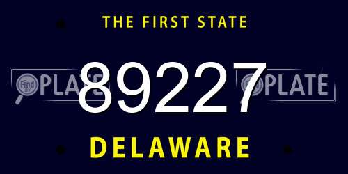 89227 Delaware License Plate