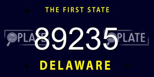 89235 Delaware License Plate