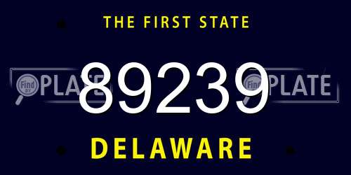 89239 Delaware License Plate