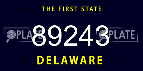 89243 Delaware License Plate