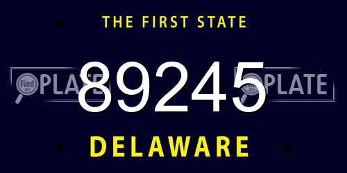 89245 Delaware License Plate