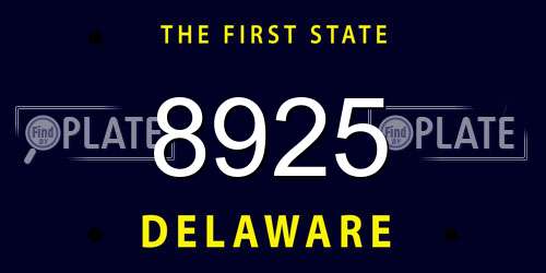 8925 Delaware License Plate