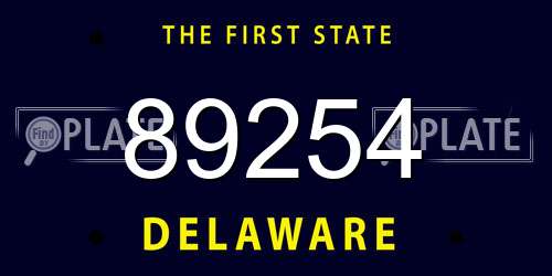 89254 Delaware License Plate