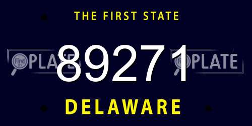 89271 Delaware License Plate