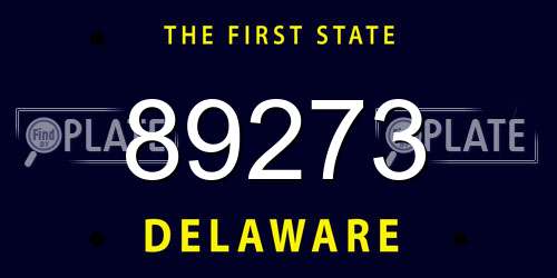 89273 Delaware License Plate