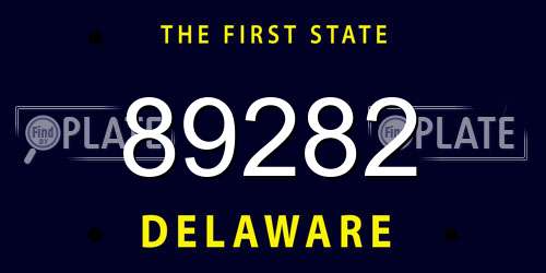89282 Delaware License Plate