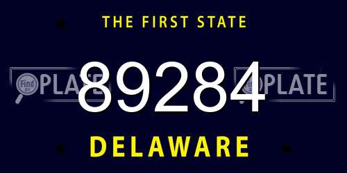 89284 Delaware License Plate