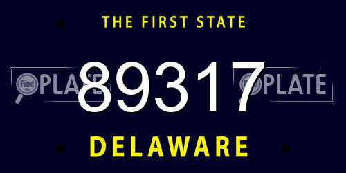 89317 Delaware License Plate