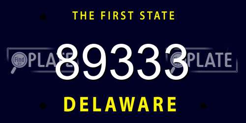 89333 Delaware License Plate