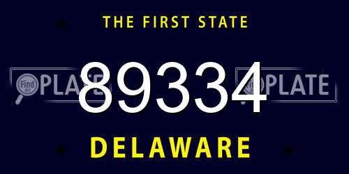 89334 Delaware License Plate
