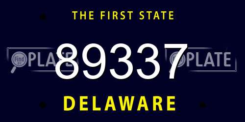 89337 Delaware License Plate