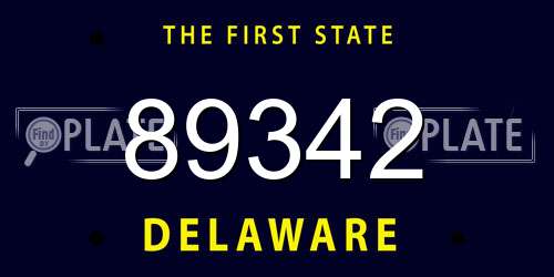 89342 Delaware License Plate