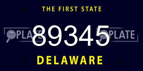 89345 Delaware License Plate