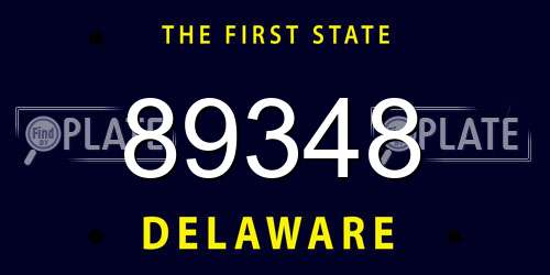 89348 Delaware License Plate
