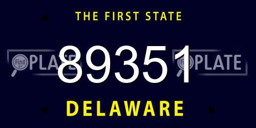 89351 Delaware License Plate