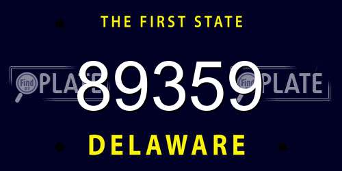 89359 Delaware License Plate