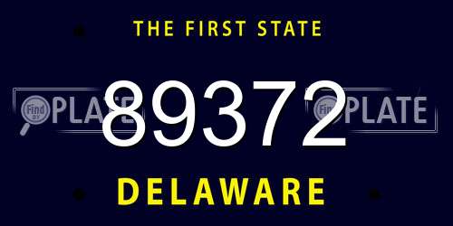 89372 Delaware License Plate