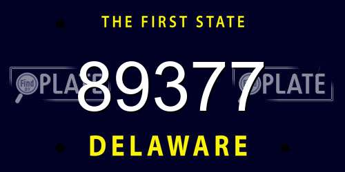 89377 Delaware License Plate