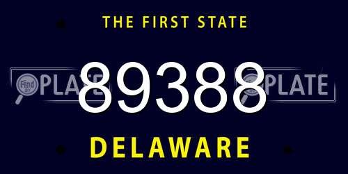 89388 Delaware License Plate