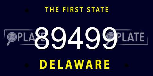 89499 Delaware License Plate