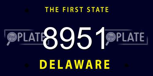 8951 Delaware License Plate