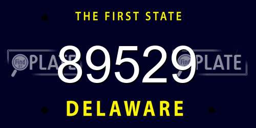 89529 Delaware License Plate