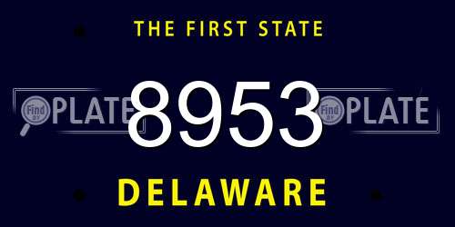 8953 Delaware License Plate