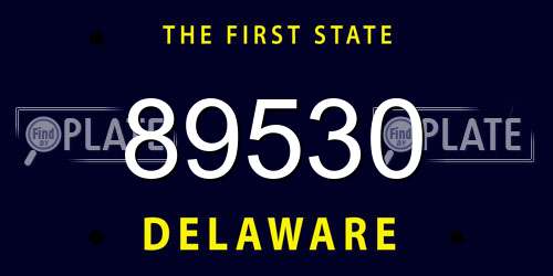 89530 Delaware License Plate