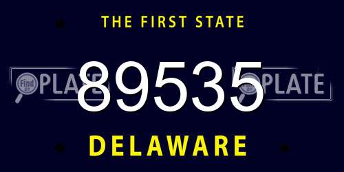 89535 Delaware License Plate