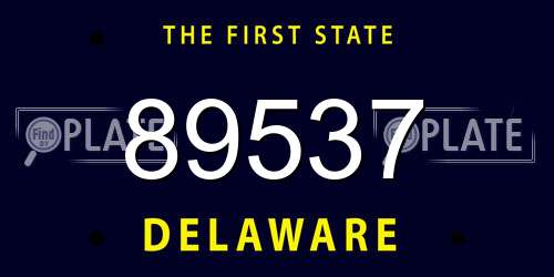 89537 Delaware License Plate