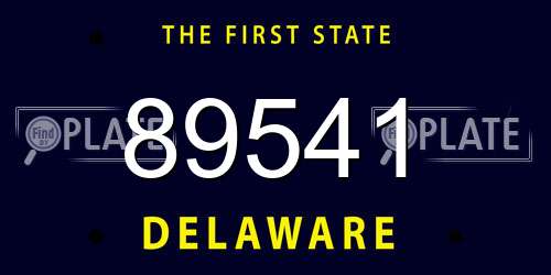 89541 Delaware License Plate