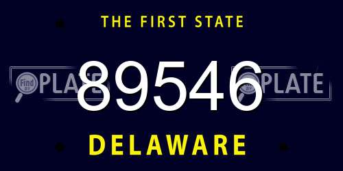 89546 Delaware License Plate