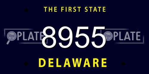 8955 Delaware License Plate