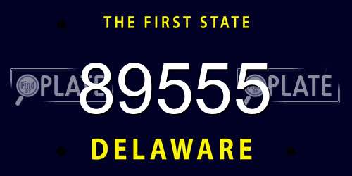 89555 Delaware License Plate