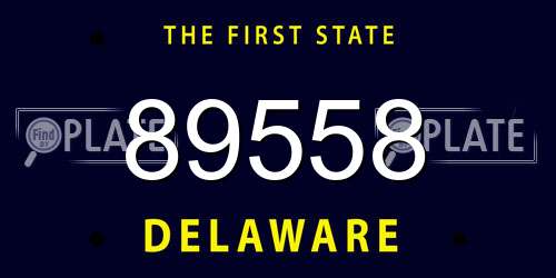 89558 Delaware License Plate
