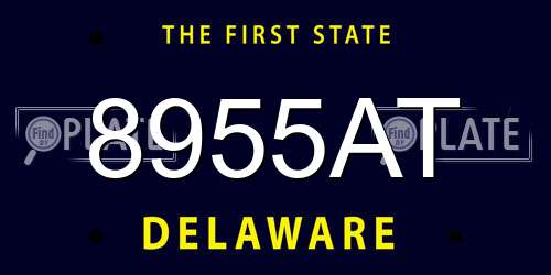 8955AT Delaware License Plate