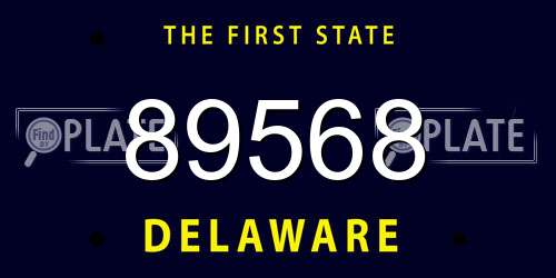89568 Delaware License Plate